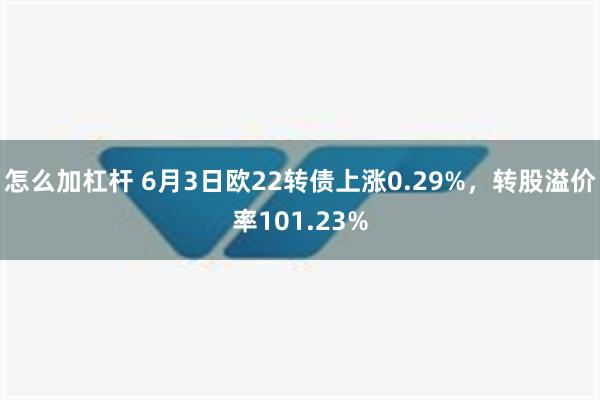 怎么加杠杆 6月3日欧22转债上涨0.29%，转股溢价率101.23%