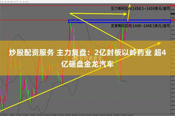 炒股配资服务 主力复盘：2亿封板以岭药业 超4亿砸盘金龙汽车