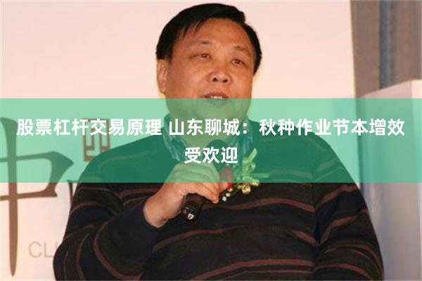 股票杠杆交易原理 山东聊城：秋种作业节本增效受欢迎