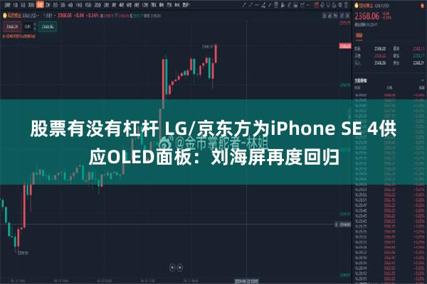 股票有没有杠杆 LG/京东方为iPhone SE 4供应OLED面板：刘海屏再度回归